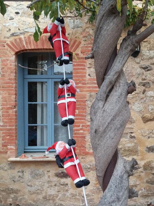 Photo of Others in Camelas