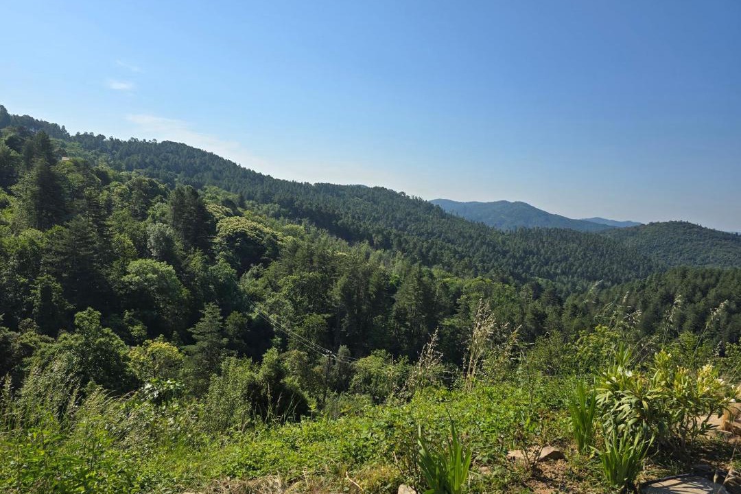 Photo of Others in Concoules