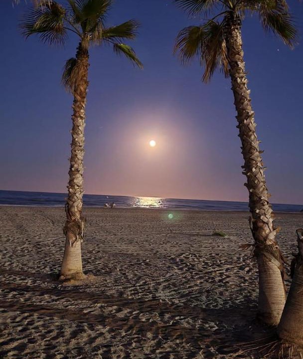 Photo of Others in Canet de Berenguer