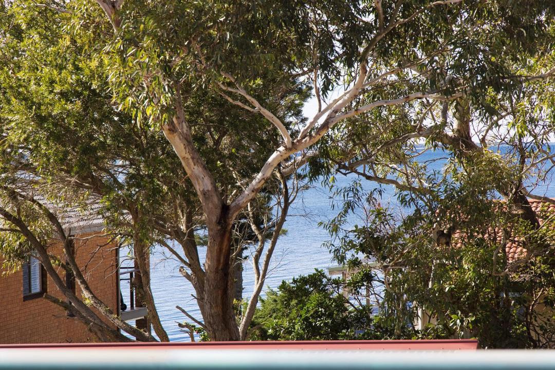 Photo of Others in Soldiers Point