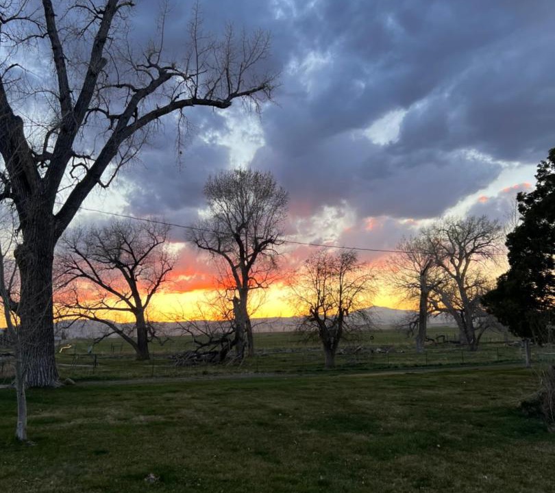 Photo of Others in Wheatland