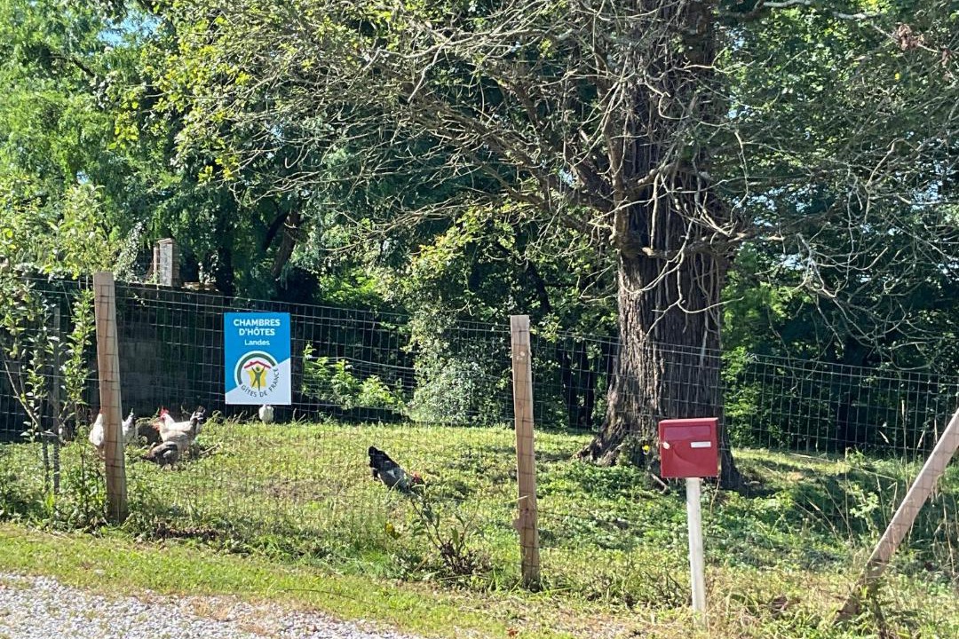 Photo of Others in Heugas