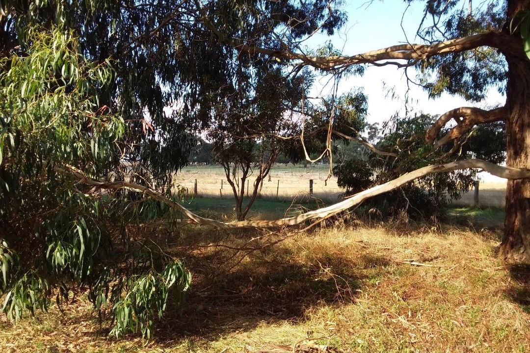 Photo of Others in Woodend North