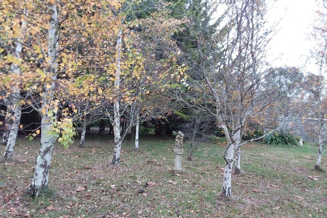 Photo of Others in Woodend North