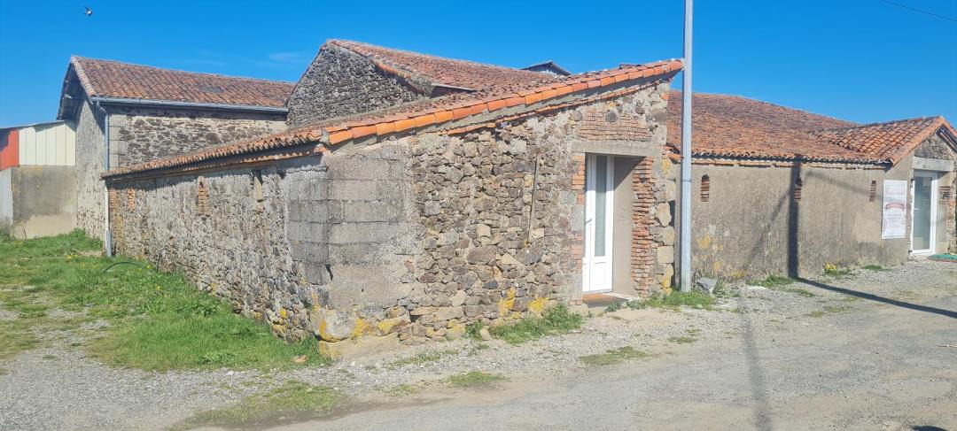 Photo of Others in Mauleon