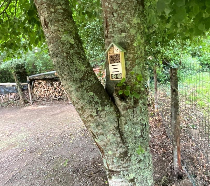 Photo of Others in Crozant