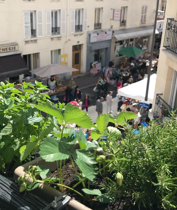 Photo of Others in Maisons-Alfort