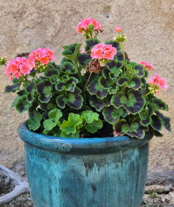 Photo of Outdoor in Vivonne