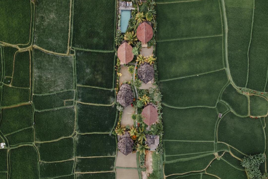 Photo of Others in Payangan