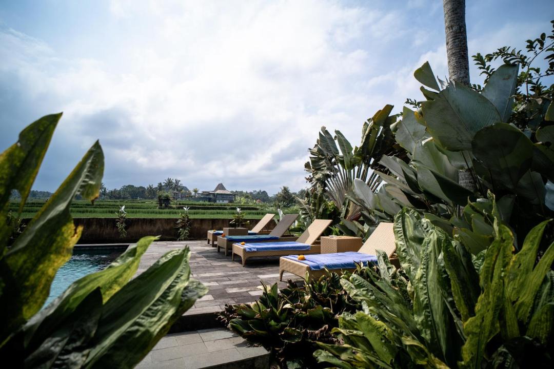 Photo of Others in Payangan