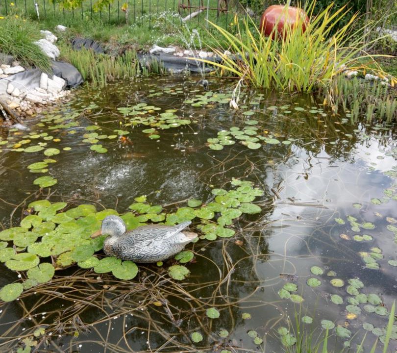 Photo of Others in Travers