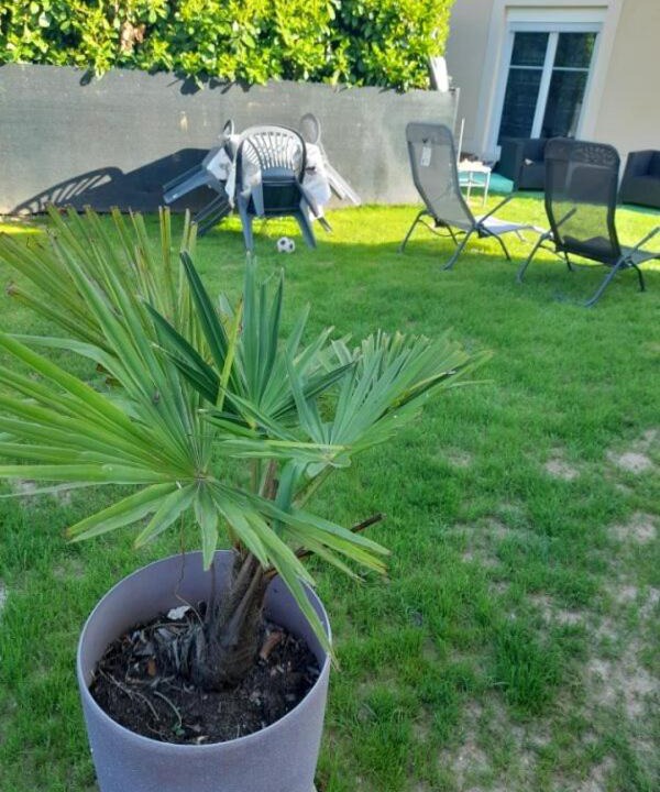 Photo of Others in Beauvais