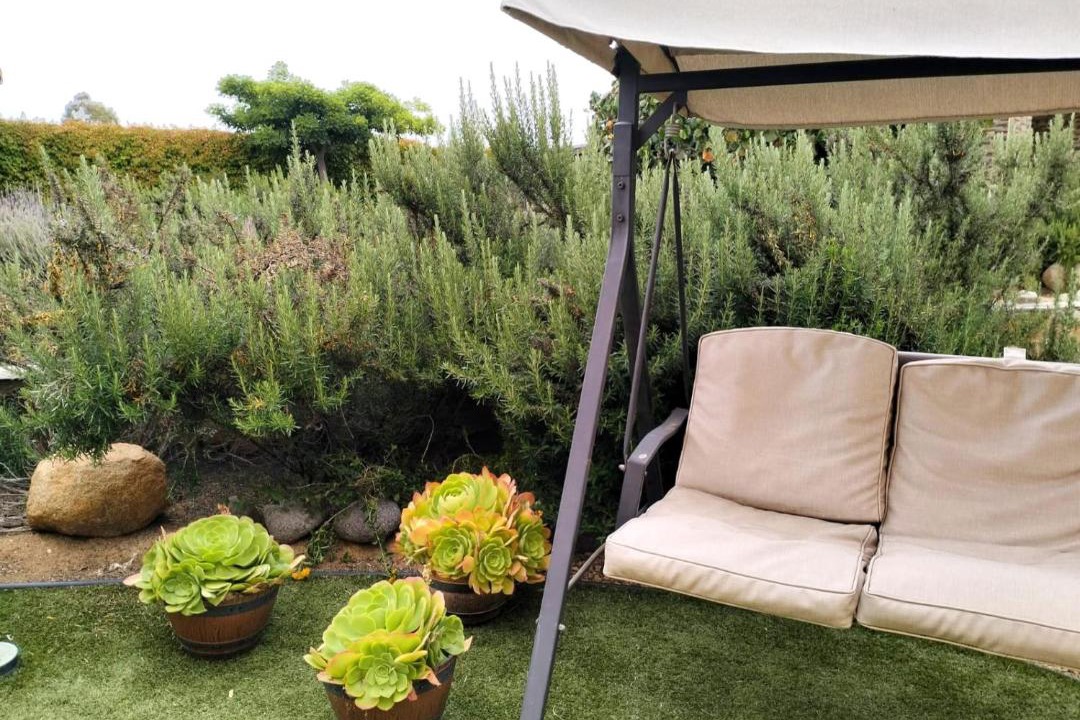 Photo of Others in Valle de Guadalupe