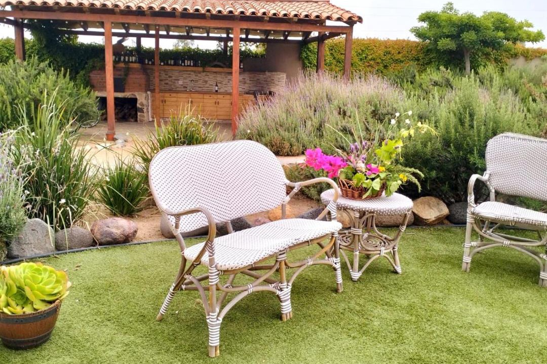 Photo of Others in Valle de Guadalupe