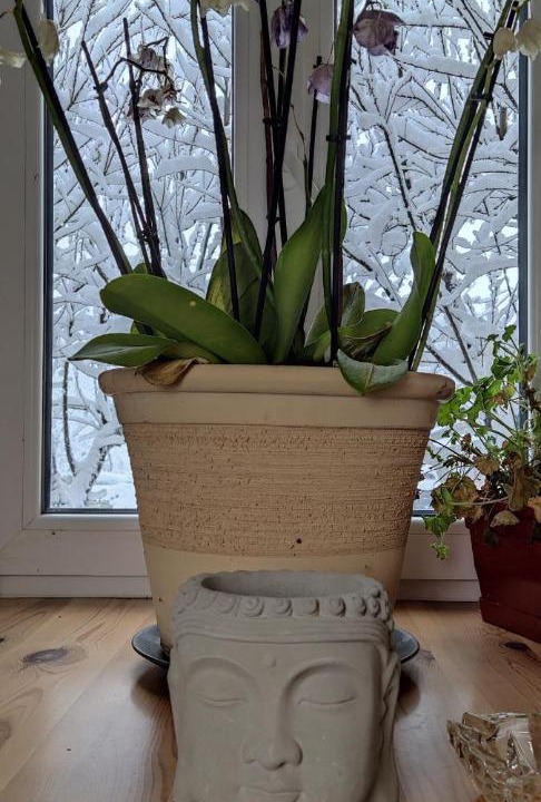 Photo of Others in Saint-Agreve