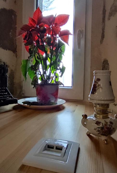 Photo of Others in Saint-Agreve