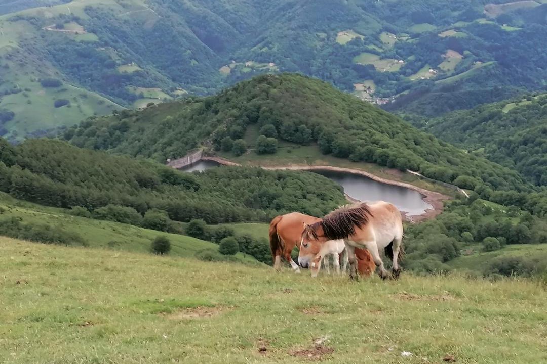 Photo of Others in Arantza