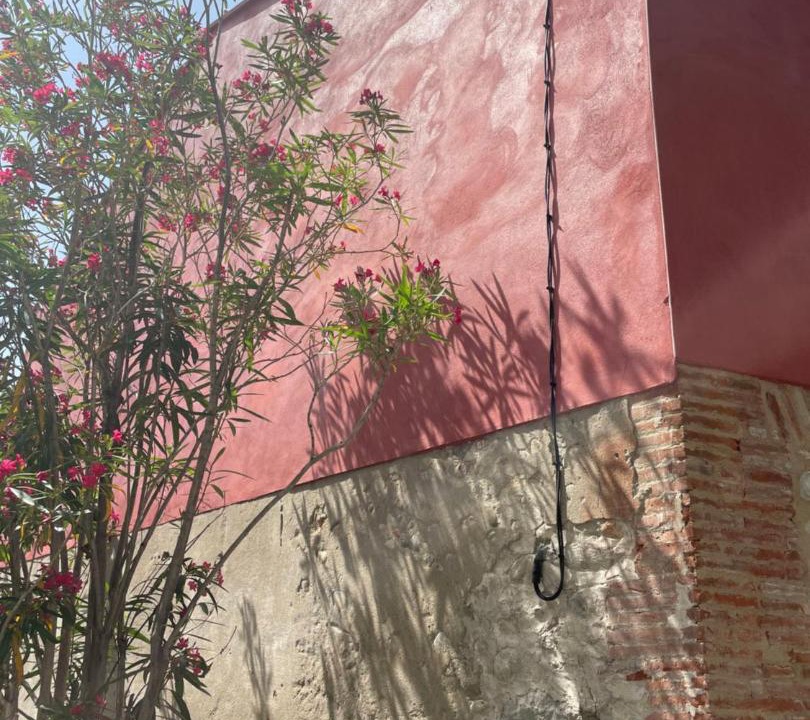 Photo of Others in Ille-sur-Tet