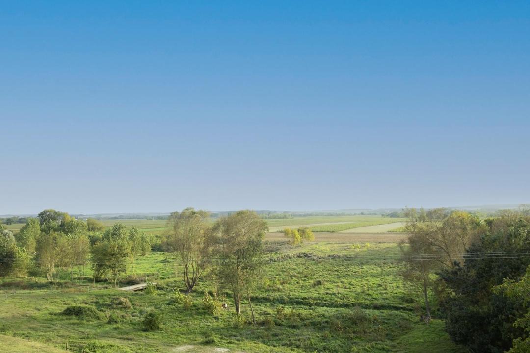 Photo of Others in Cravant-les-Coteaux