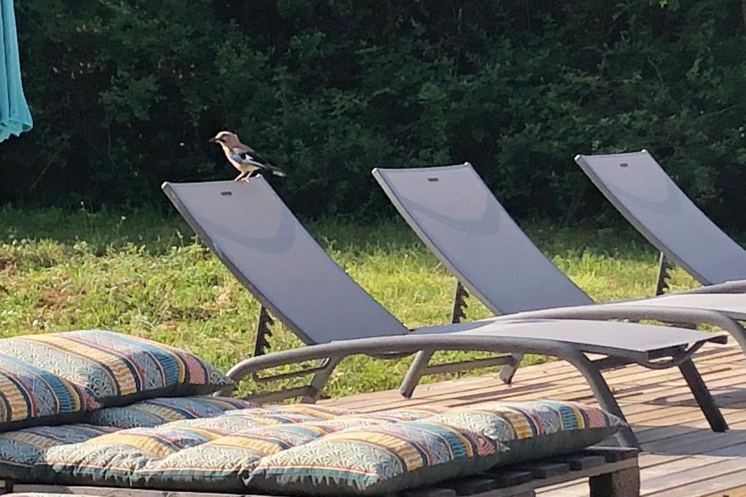 Photo of Others in Prayssac