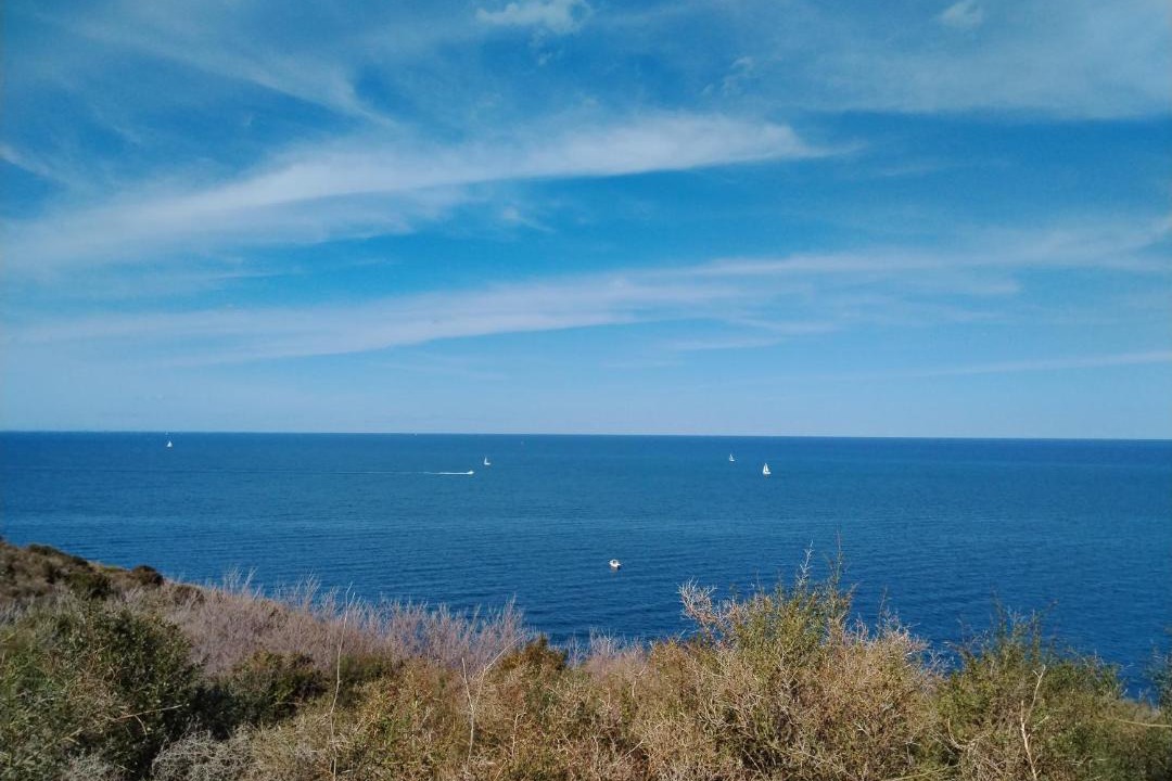 Photo of Others in Torreilles