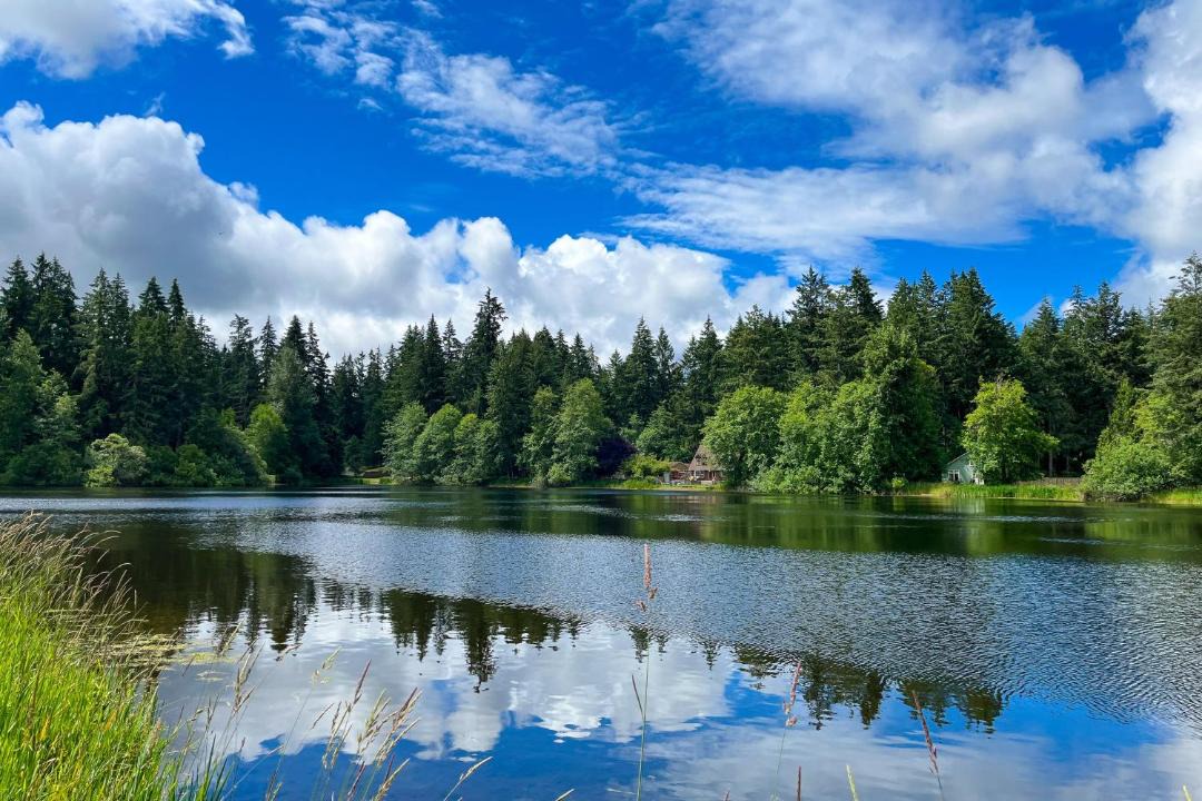 Photo of Outdoor in East Olympia