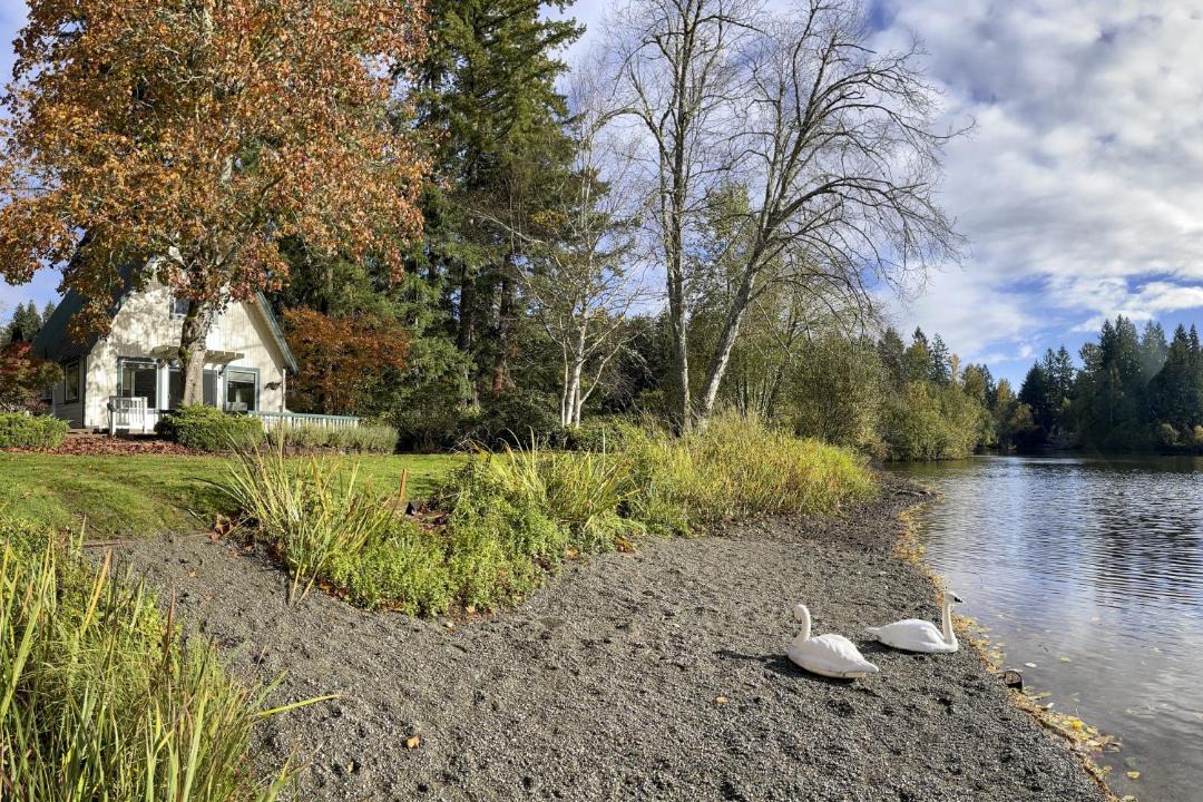 Photo of Others in East Olympia