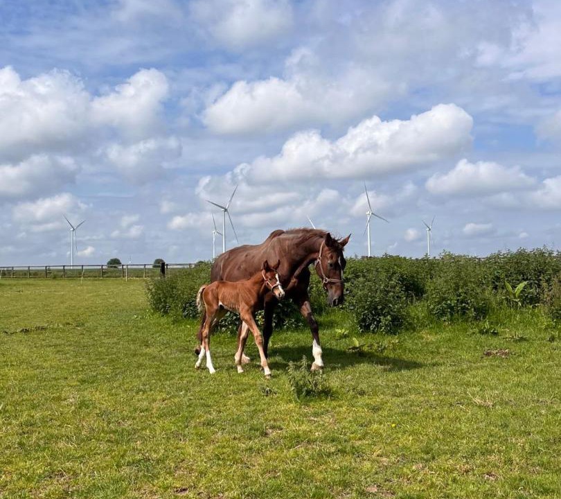 Photo of Others in Dury