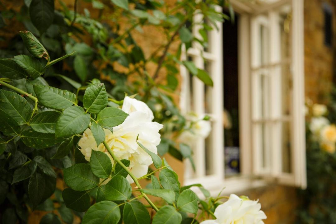 Photo of Others in Stoke Albany