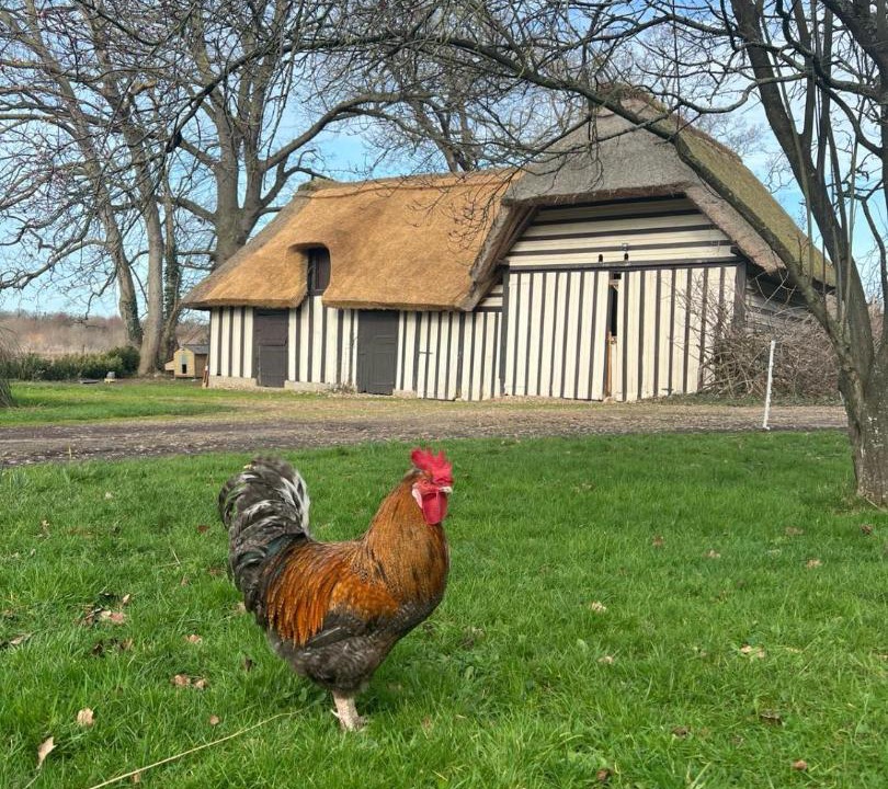 Photo of Others in Sainte-Opportune-la-Mare