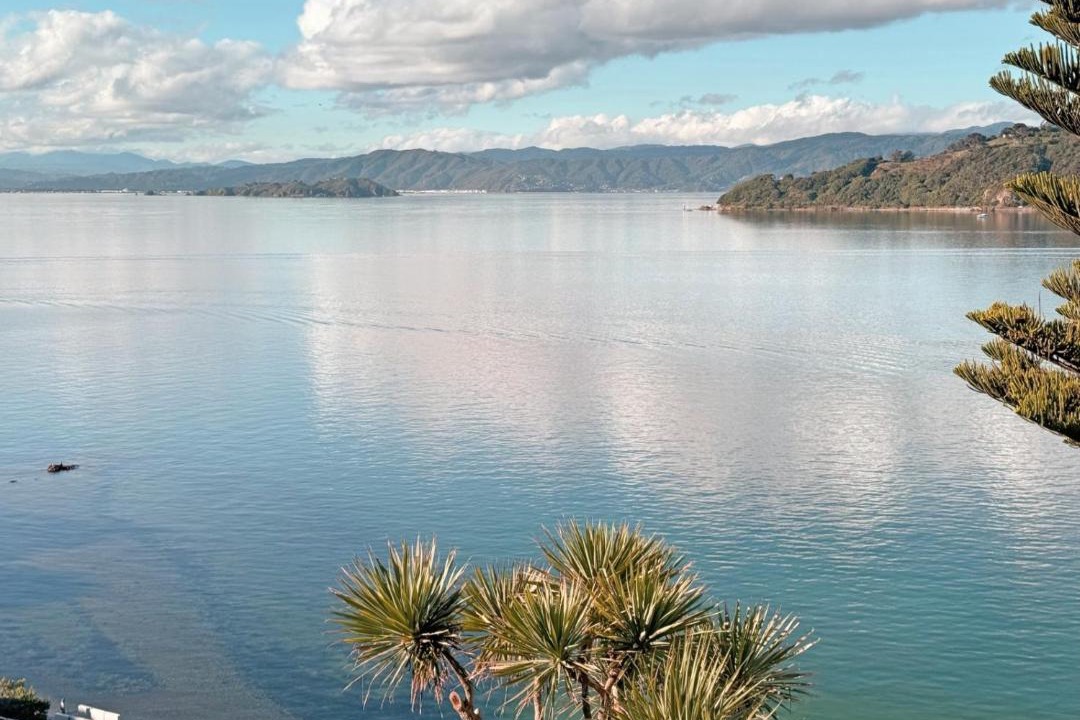 Photo of Others in Wellington