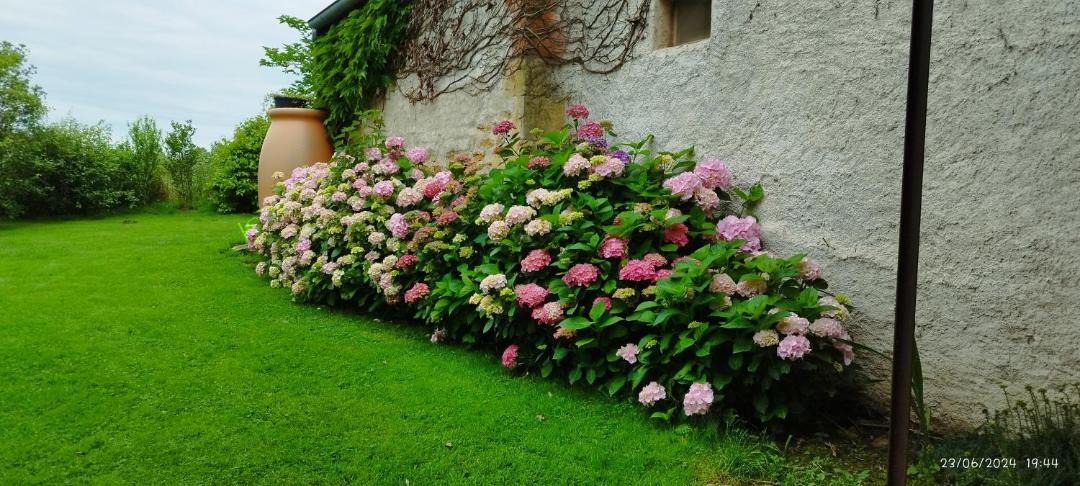Photo of Others in Anzy-le-Duc