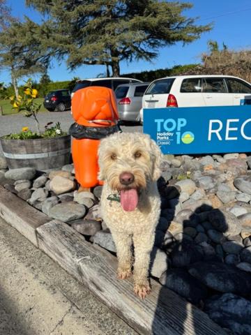 Photo of Others in Leamington