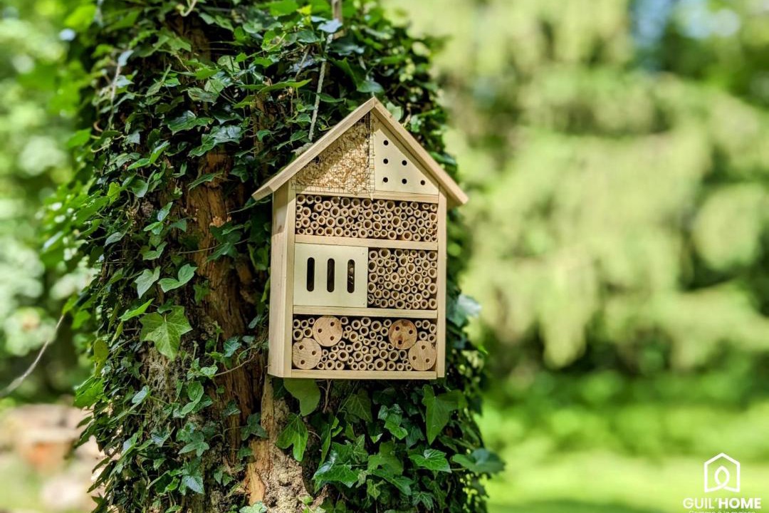 Photo of Others in Boigny-sur-Bionne