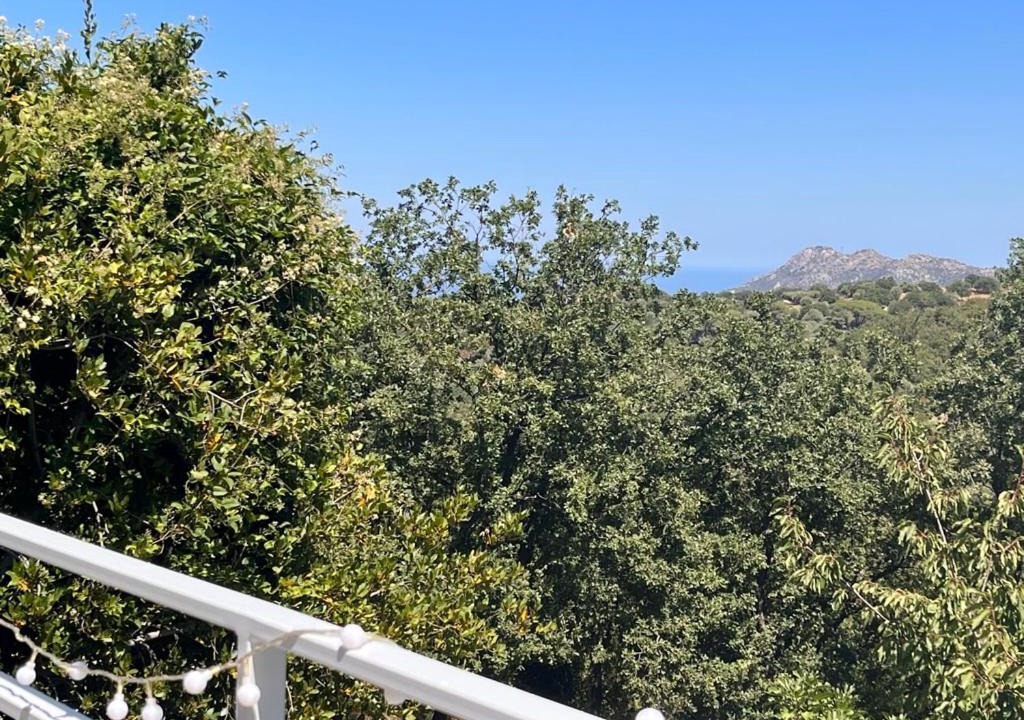 Photo of Others in Ville-di-Paraso