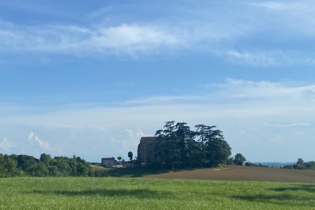 Photo of Others in Plaisance