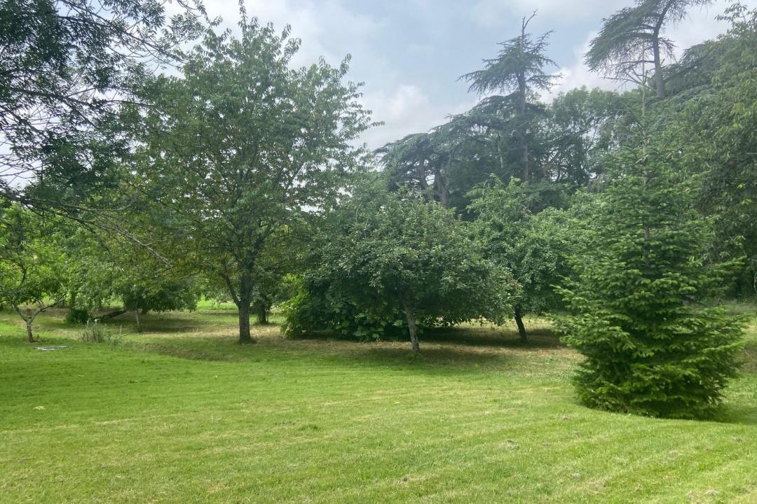 Photo of Others in Plaisance