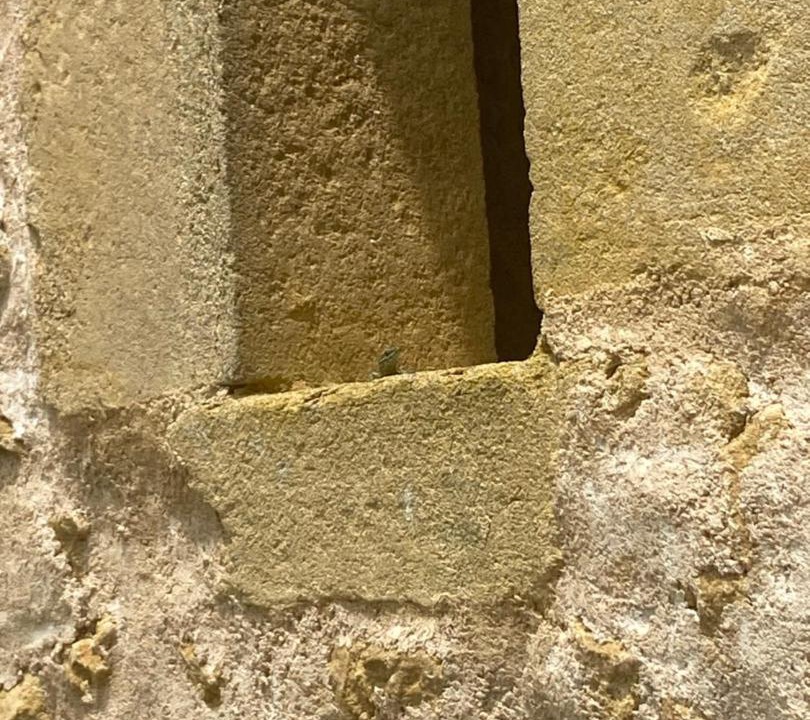 Photo of Others in Plaisance