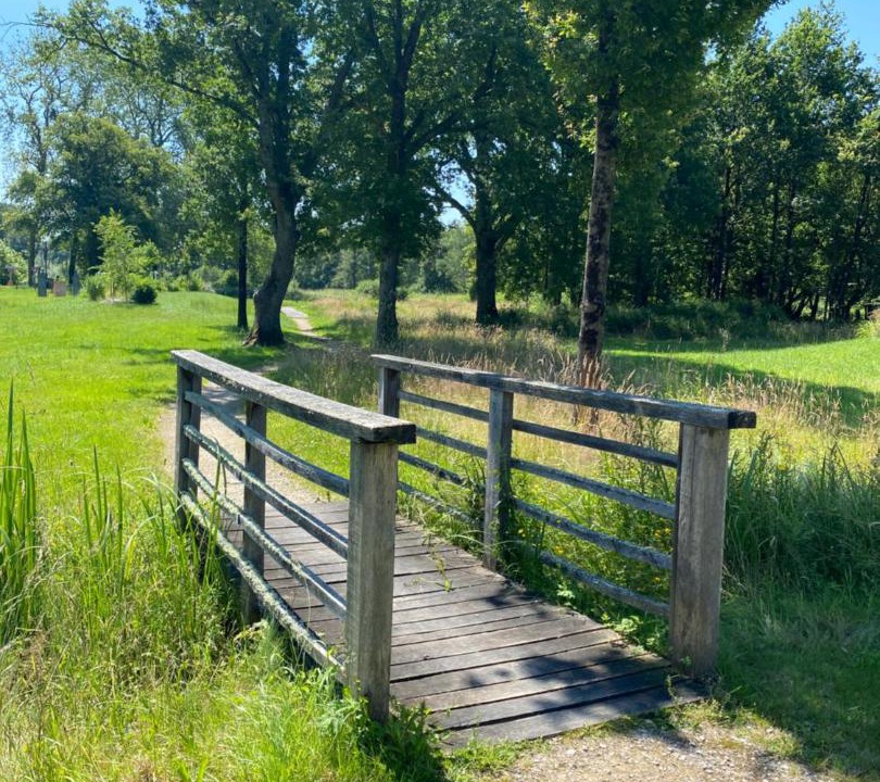 Photo of Others in Neung-sur-Beuvron