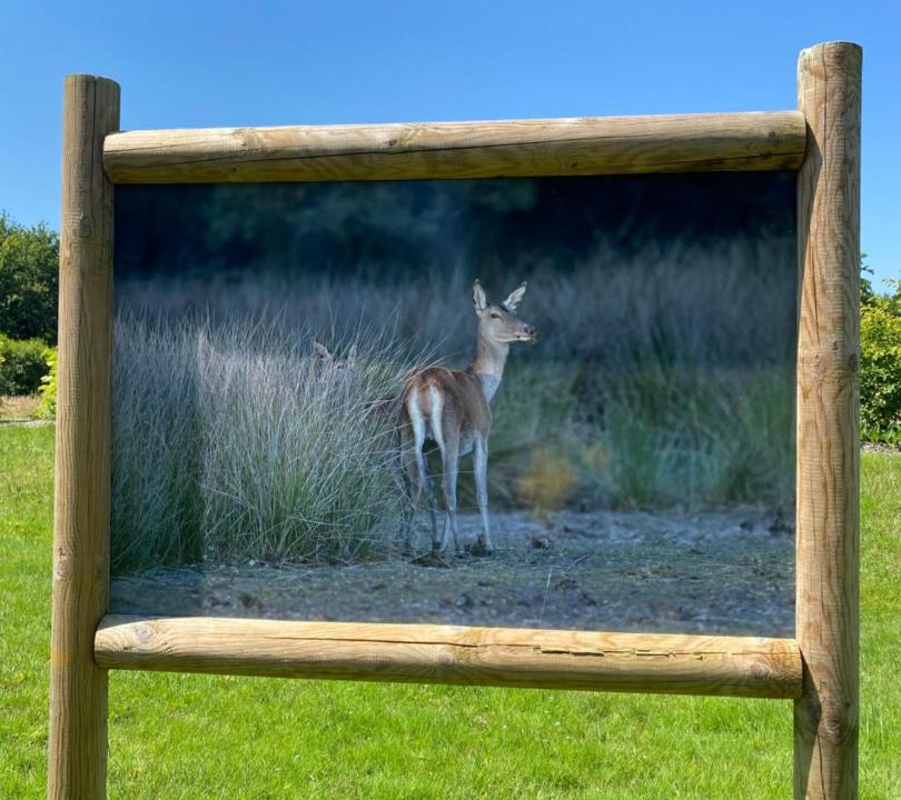 Photo of Others in Neung-sur-Beuvron