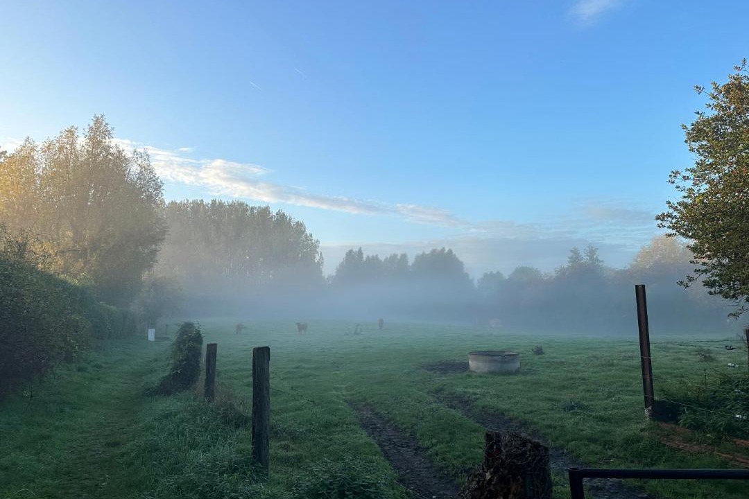 Photo of Others in Chereng