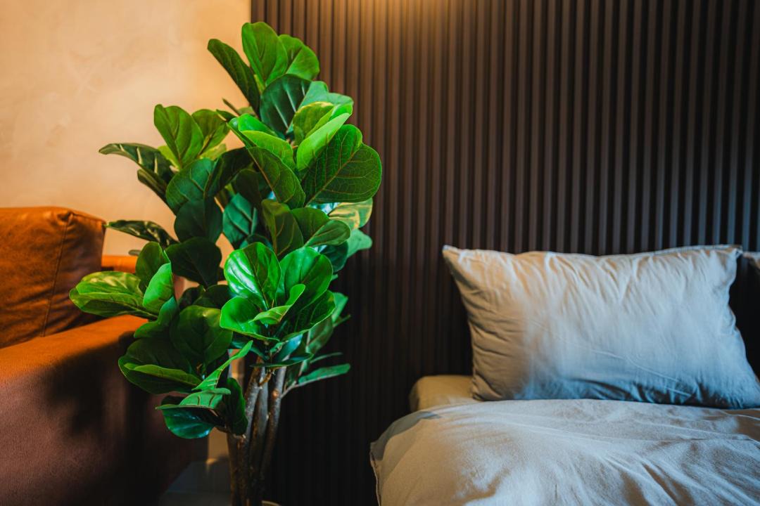 Photo of Others in Cheras