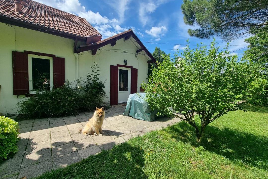 Photo of Others in Sainte-Eulalie-en-Born