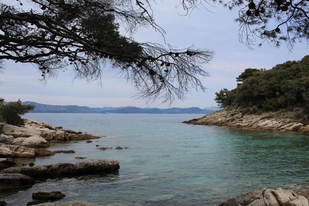 Photo of Others in Sobra