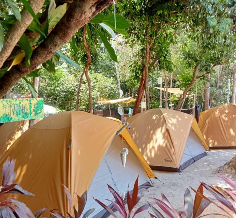 Photo of Others in Redang Island