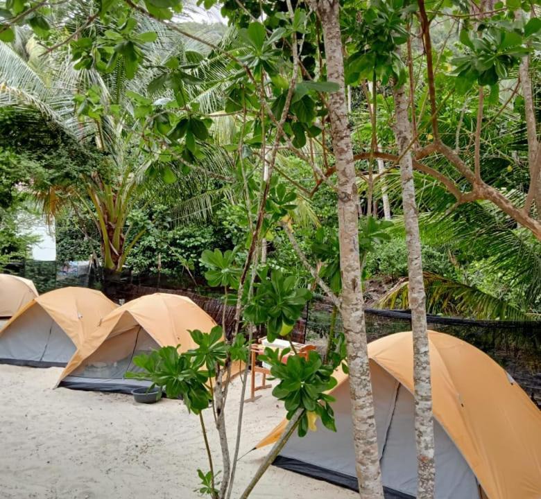 Photo of Others in Redang Island