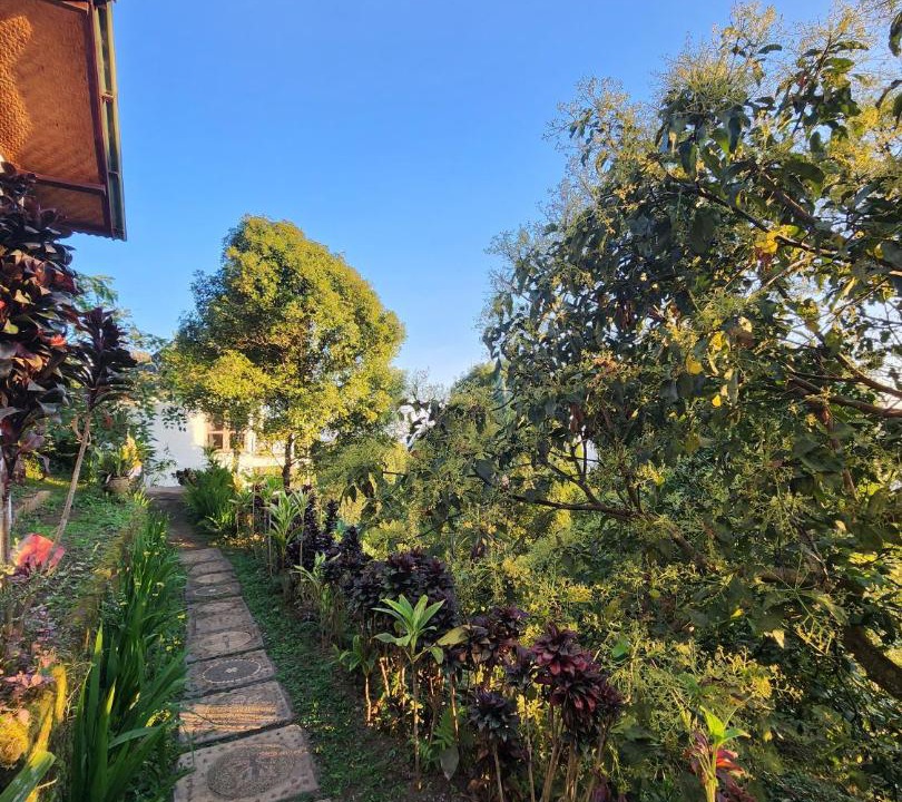 Photo of Others in Gobleg