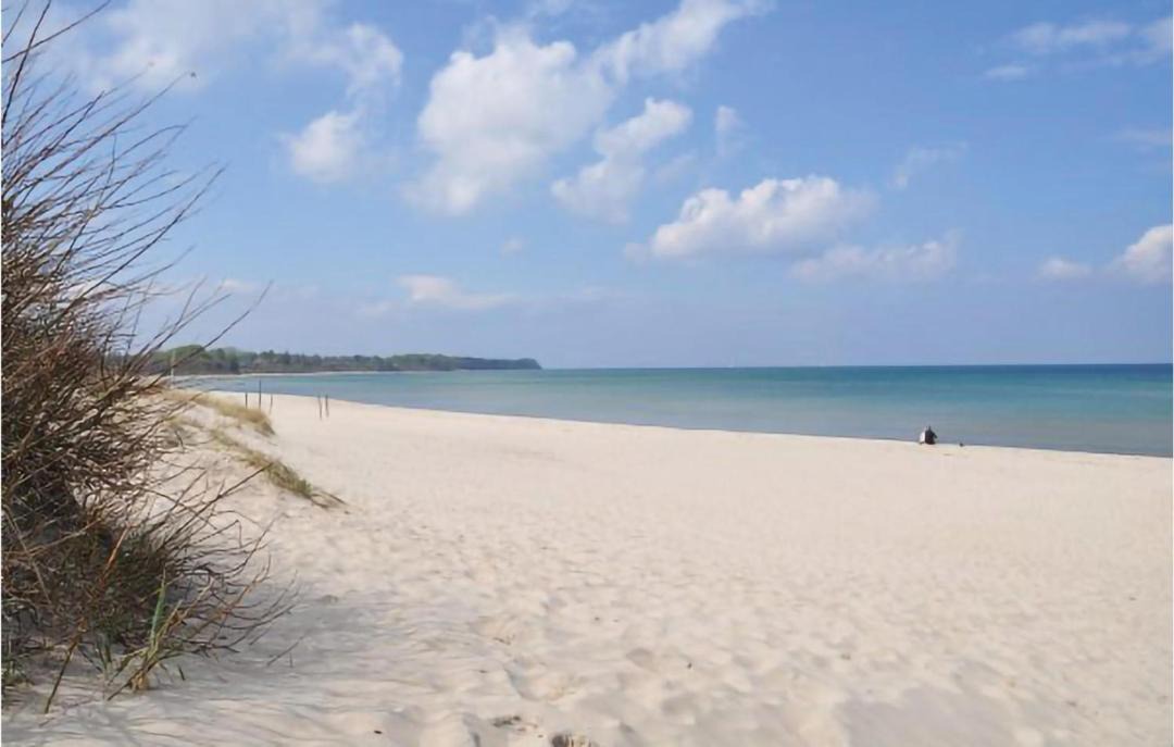 Photo of Others in Hornbaek