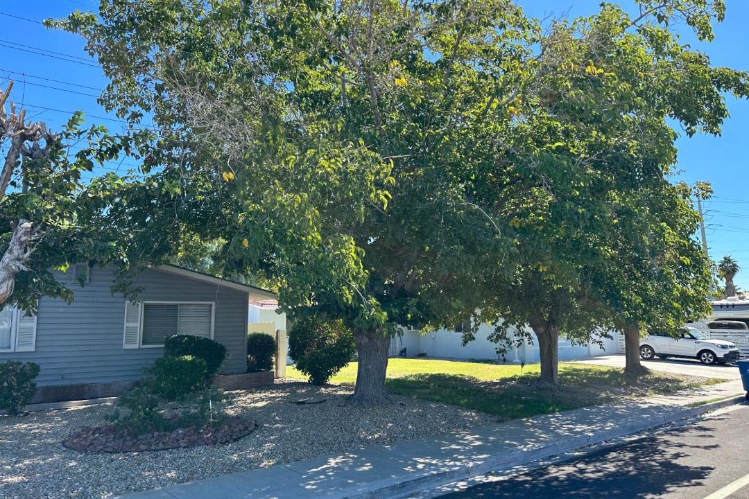 Photo of Others in Rancho Oakey