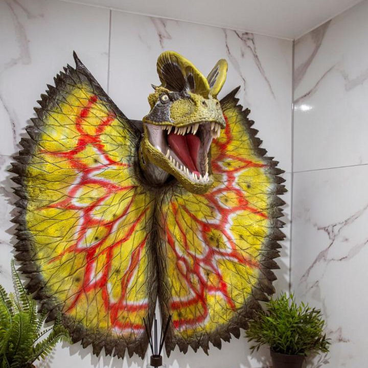 Photo of Others in Montigny-les-Metz